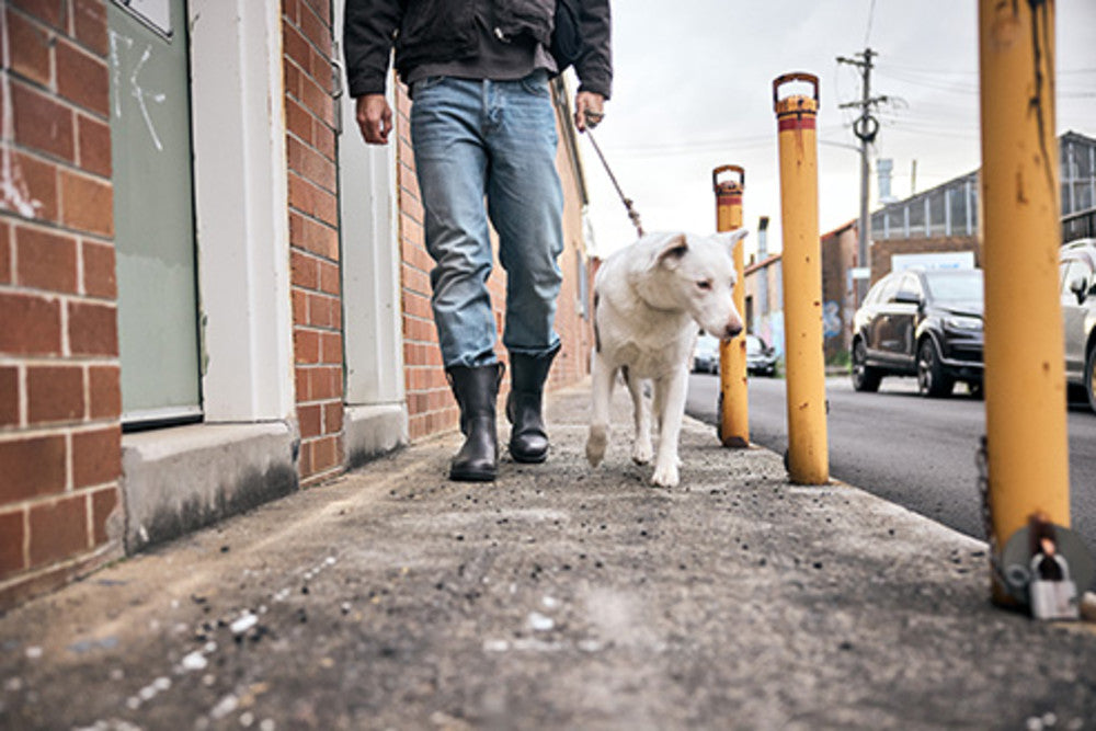 Men's Originals #2528 - Image 10